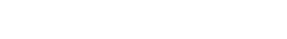 力豹科技公司簡(jiǎn)介